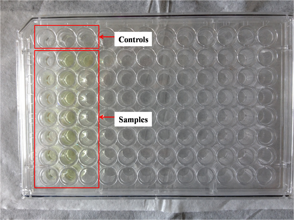 Figure 2. Sample Preparation for Microplate Reader